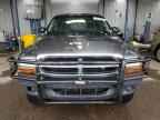 2004 DODGE Dakota