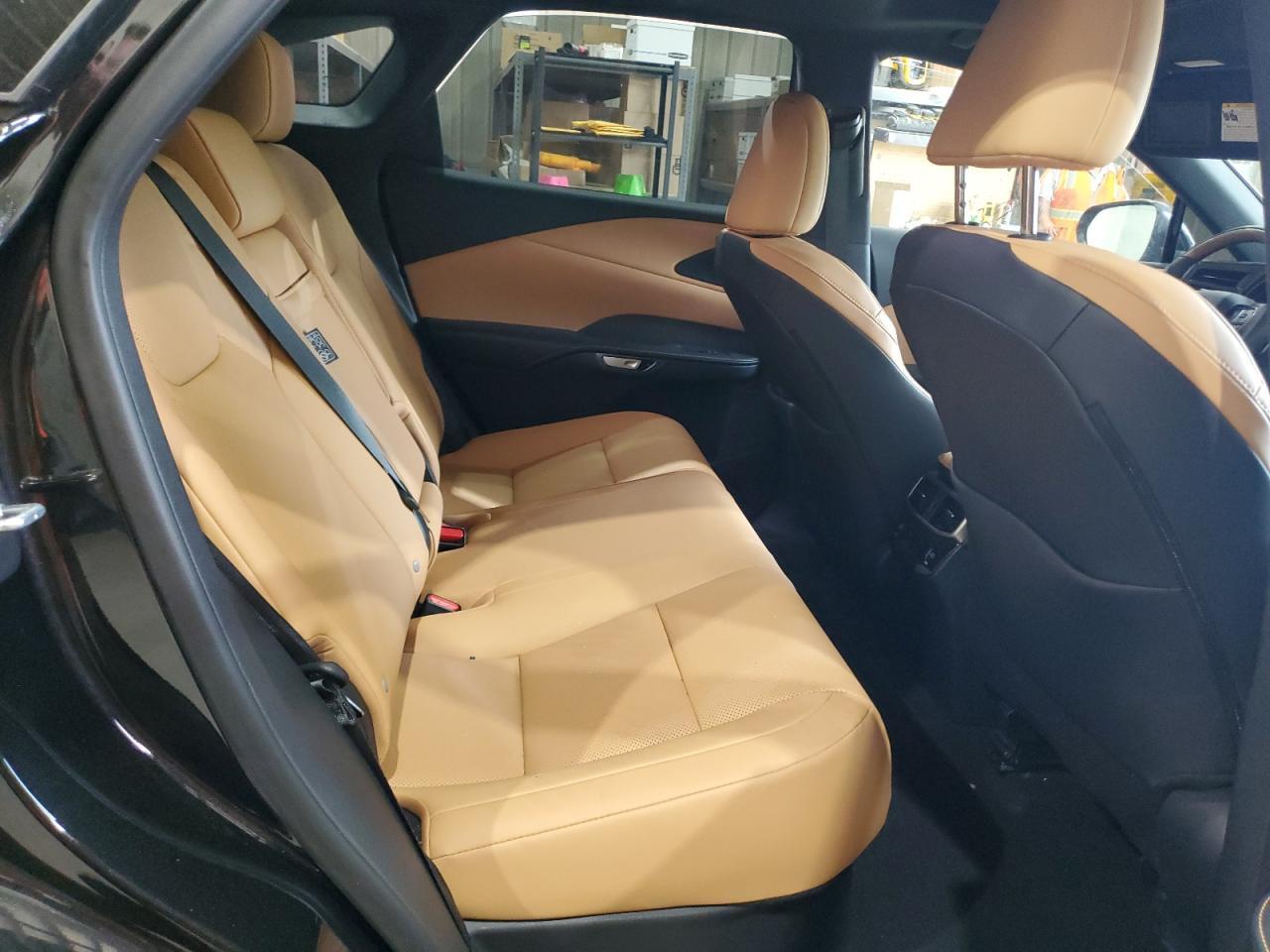 2025 LEXUS Rx