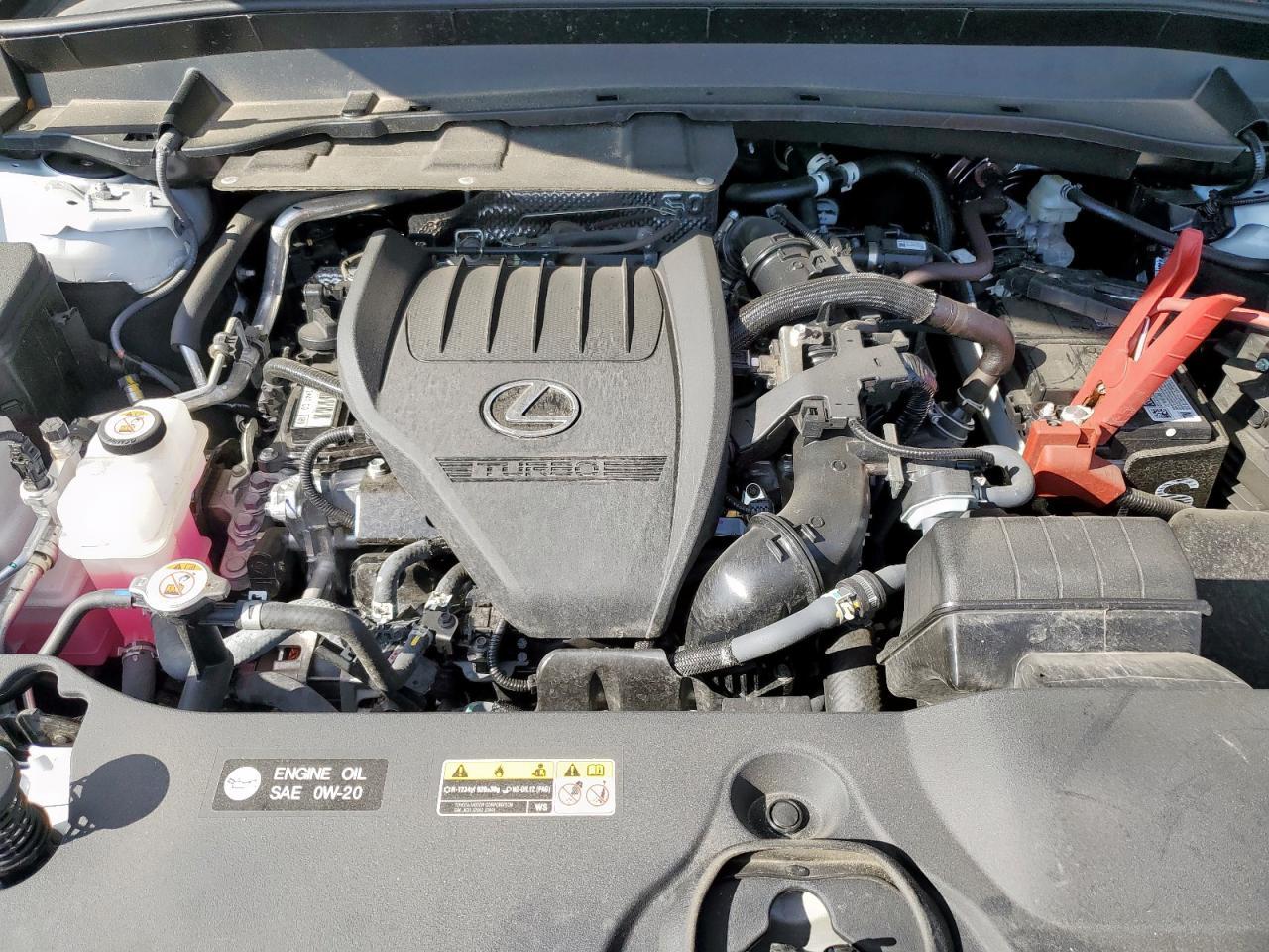 2025 LEXUS TX 350