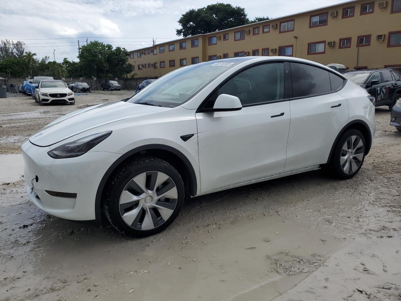 2024 TESLA MODEL Y