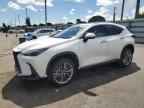 2025 LEXUS Nx