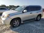 2010 LEXUS Gx