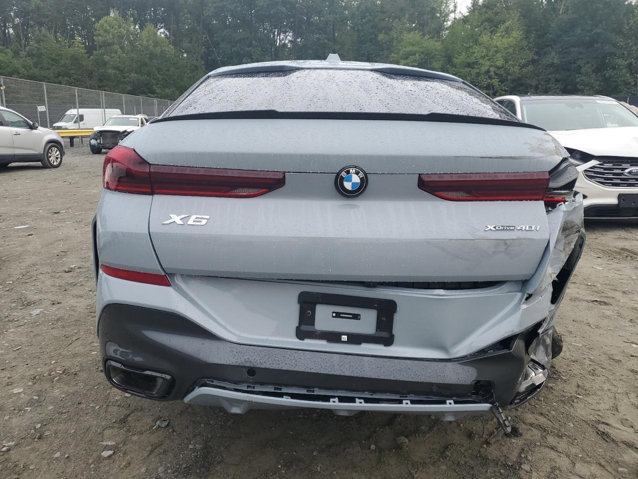 2025 BMW X6