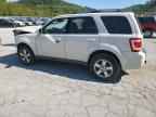 2009 FORD ESCAPE