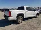 2024 TOYOTA TUNDRA