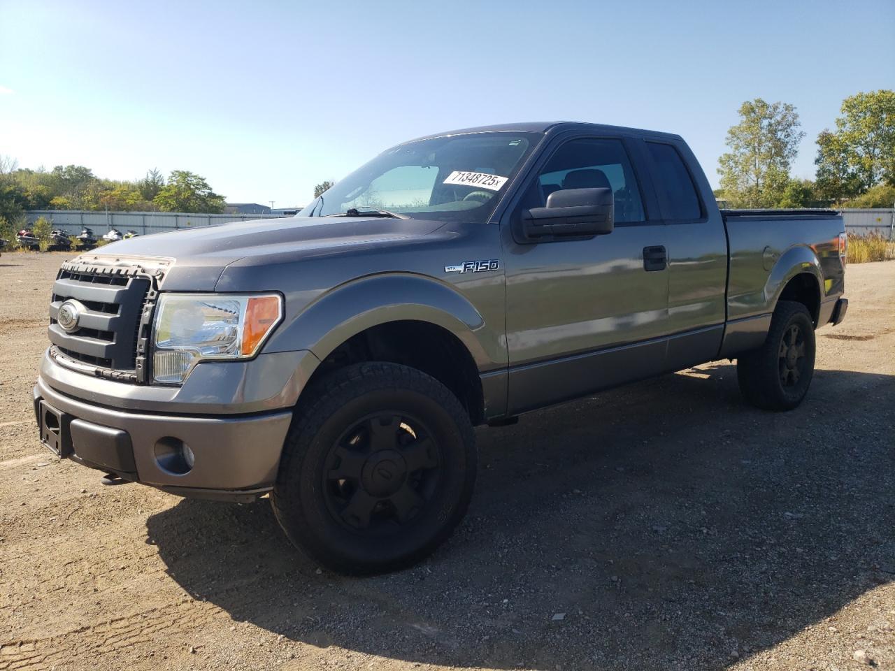 2009 FORD F-150