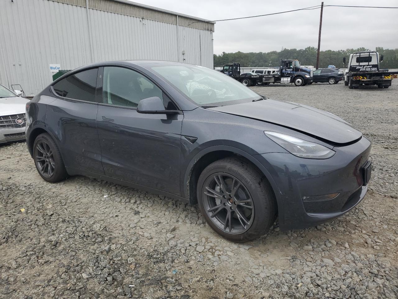 2025 TESLA MODEL Y