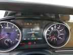 2024 KIA Carnival