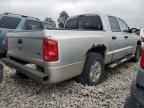 2006 DODGE Dakota