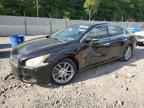 2010 NISSAN Maxima