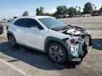 2020 LEXUS Ux