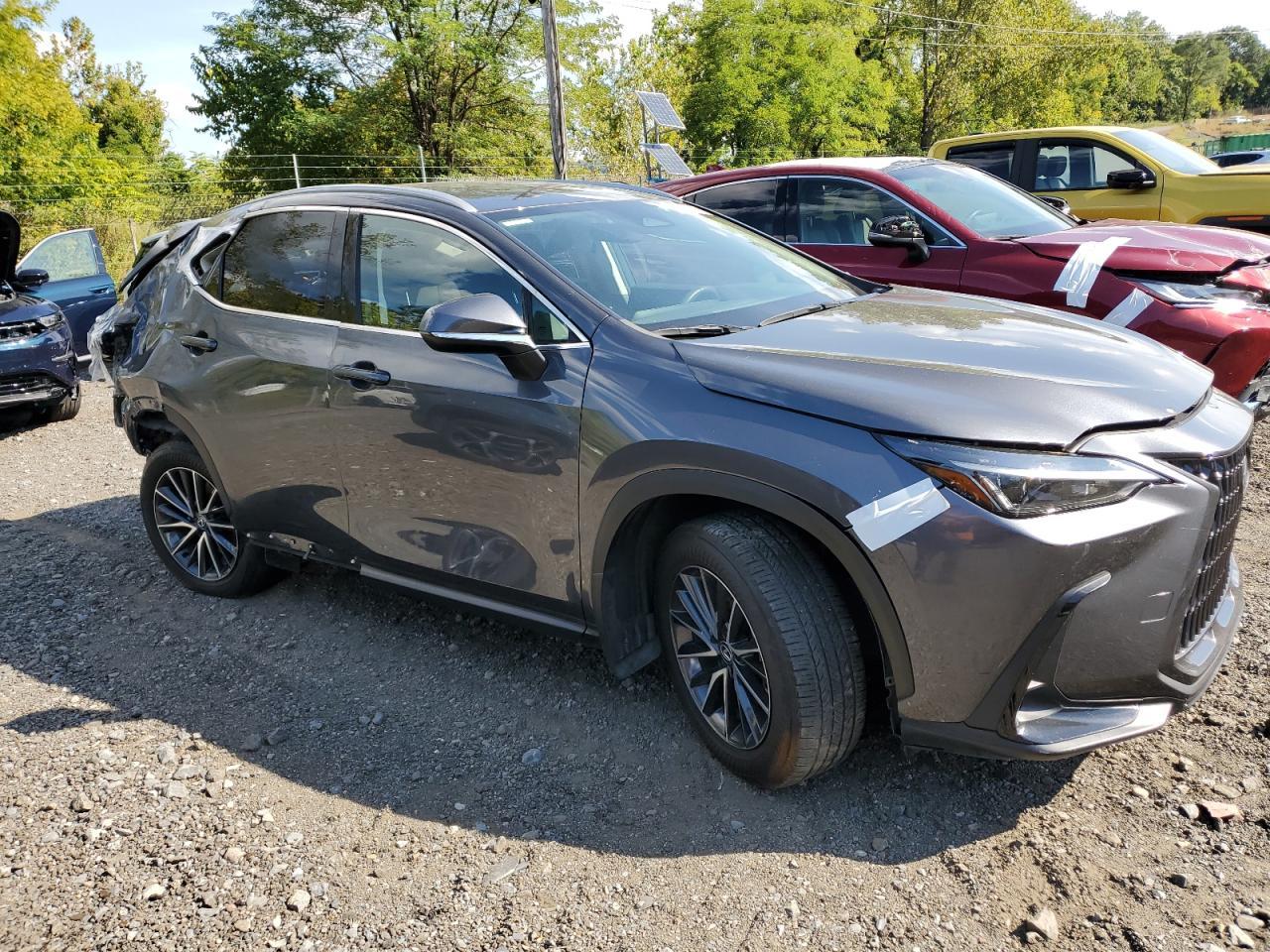 2024 LEXUS Nx