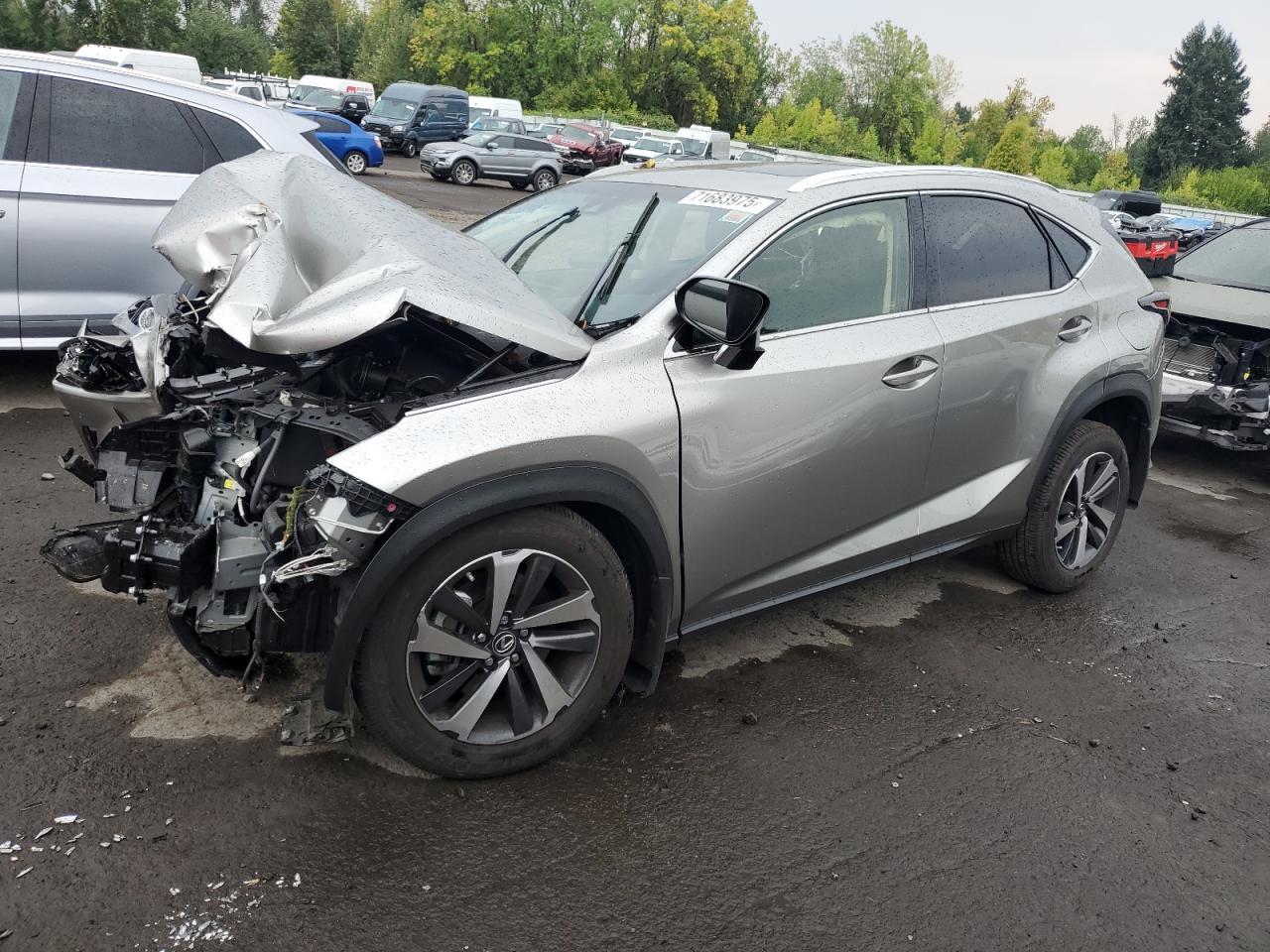 2019 LEXUS NX 300