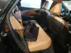 2025 LEXUS Rx