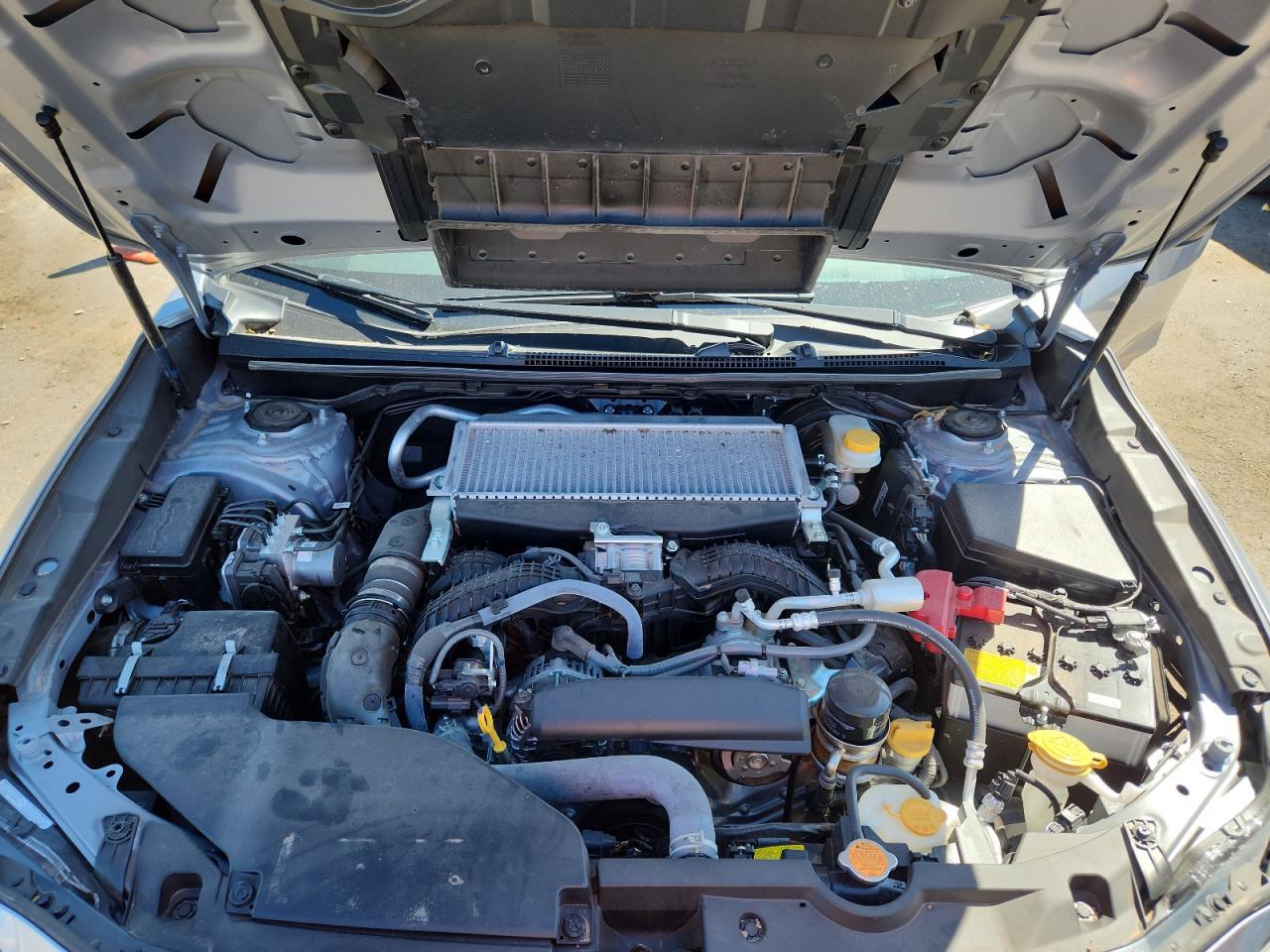 2024 SUBARU WRX