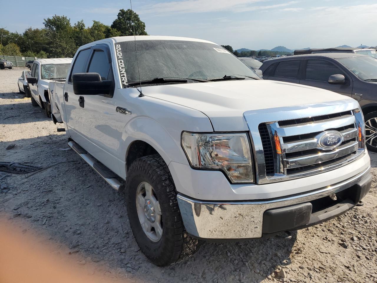 2010 FORD F-150 Lightning