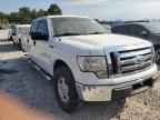 2010 FORD F-150 Lightning