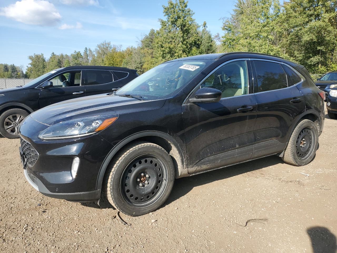 2022 FORD ESCAPE