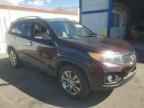 2011 KIA SORENTO