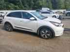 2019 KIA Niro