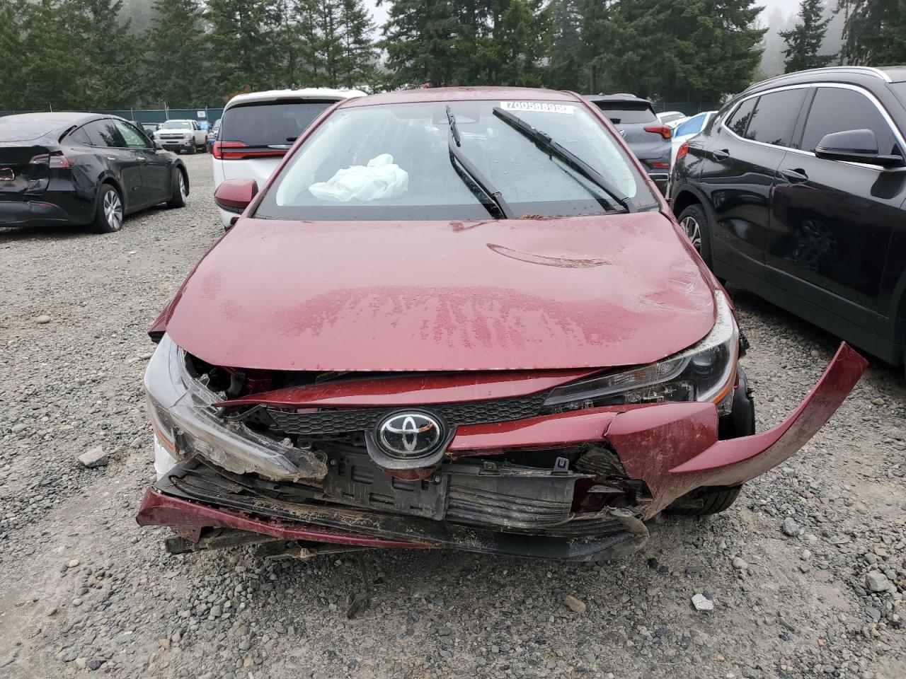 2025 TOYOTA COROLLA
