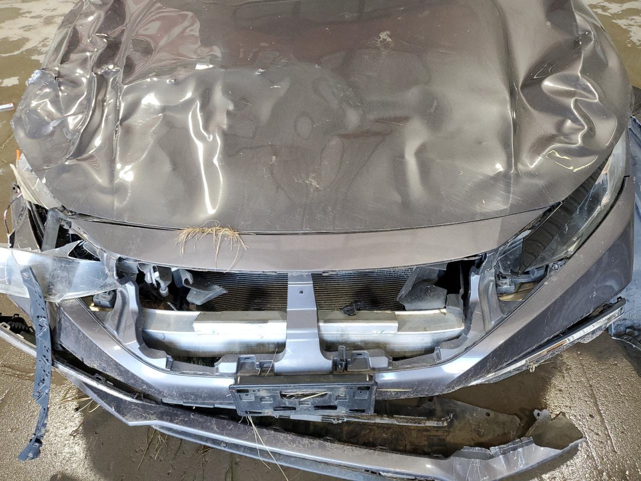 2019 HONDA CIVIC