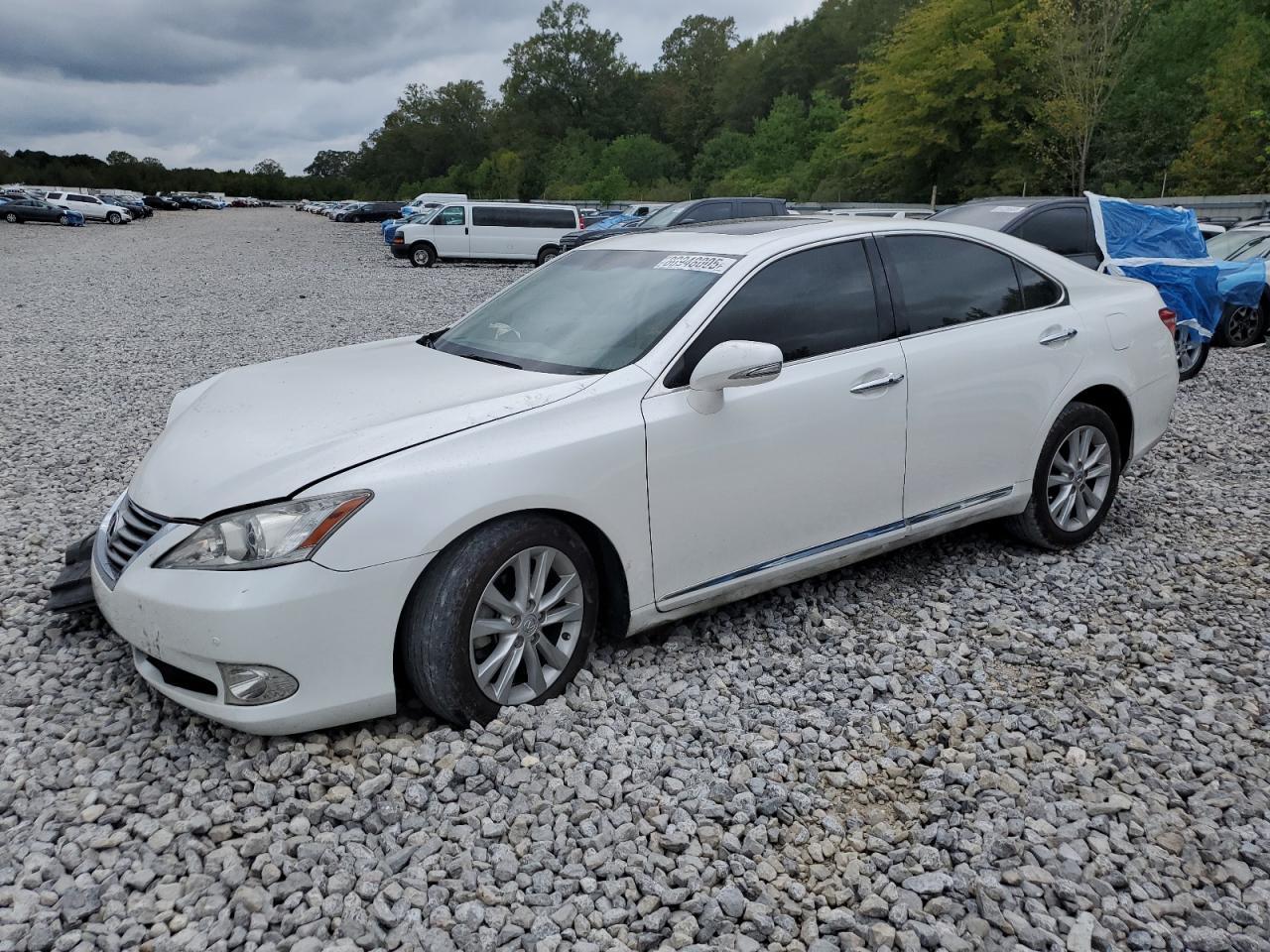2010 LEXUS ES 350