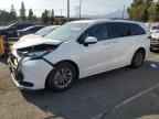2023 TOYOTA SIENNA