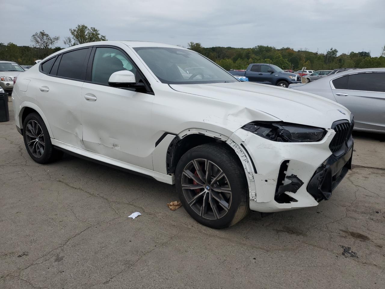2024 BMW X6