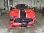 2023 FORD MUSTANG