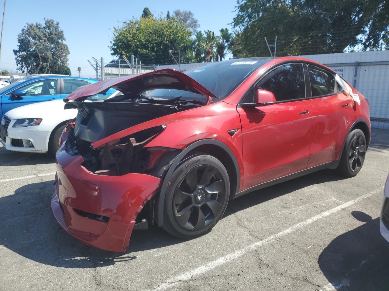 2023 TESLA MODEL Y