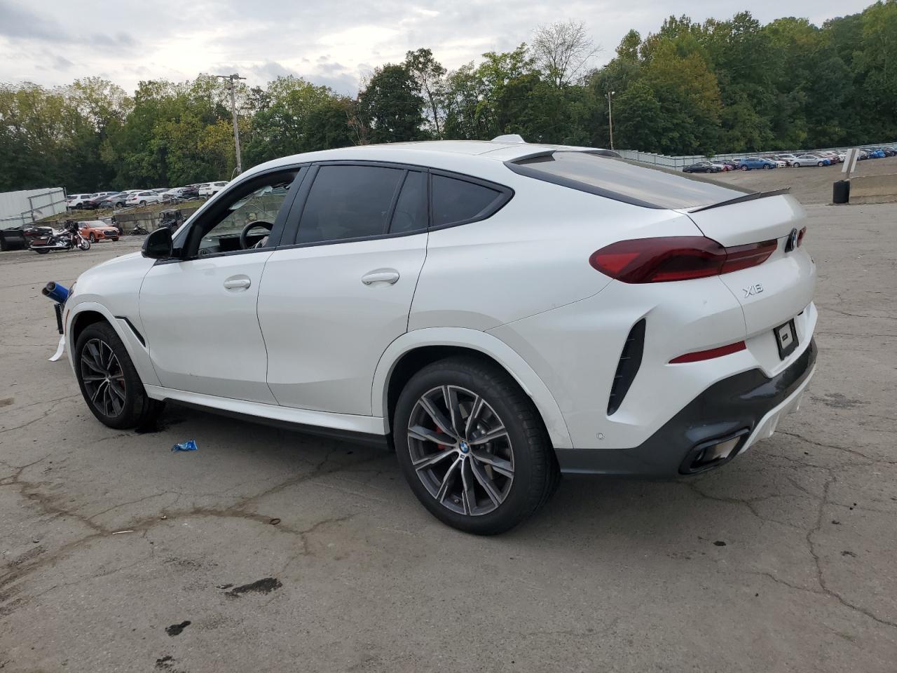 2024 BMW X6