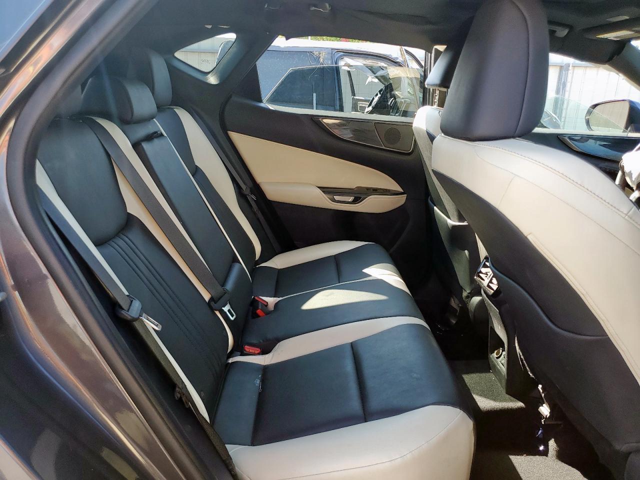 2024 LEXUS Nx