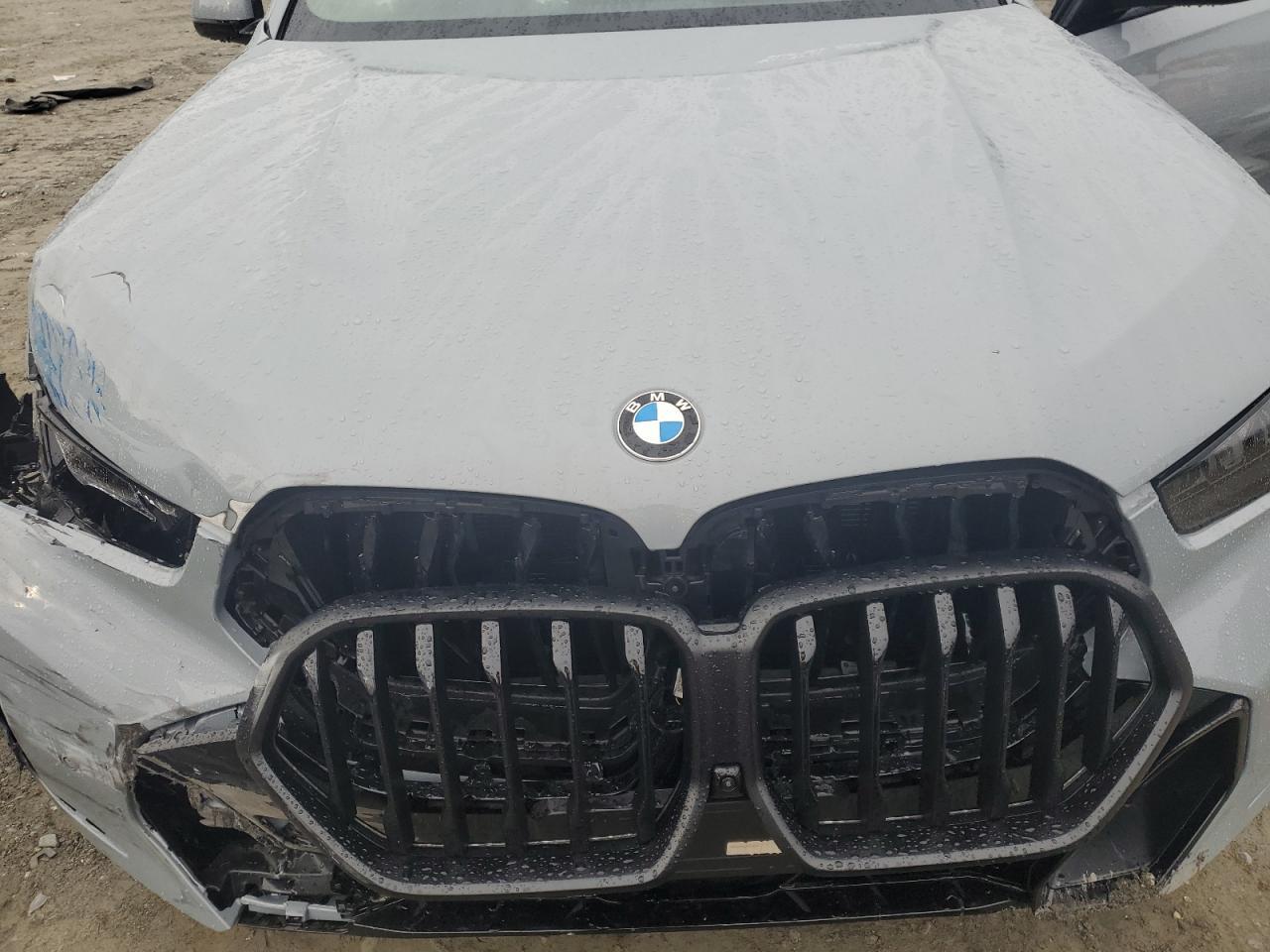 2025 BMW X6