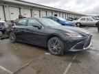 2024 LEXUS Es