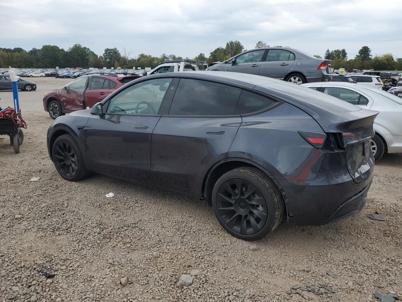 2025 TESLA MODEL Y