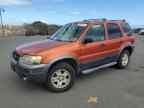 2006 FORD ESCAPE