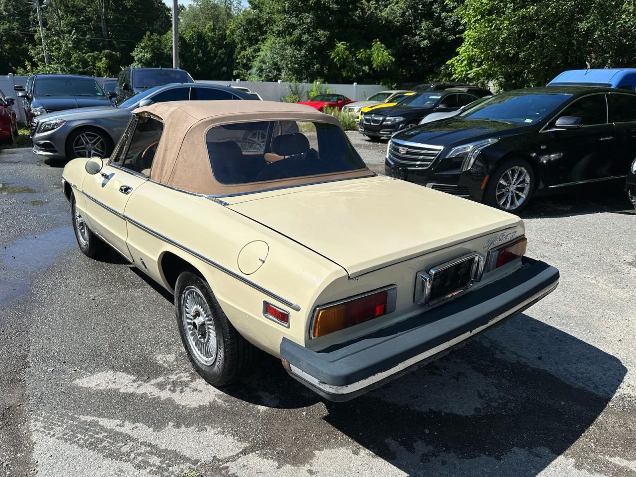 1982 ALFA ROMEO Giulia