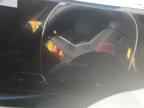 2025 BMW i4