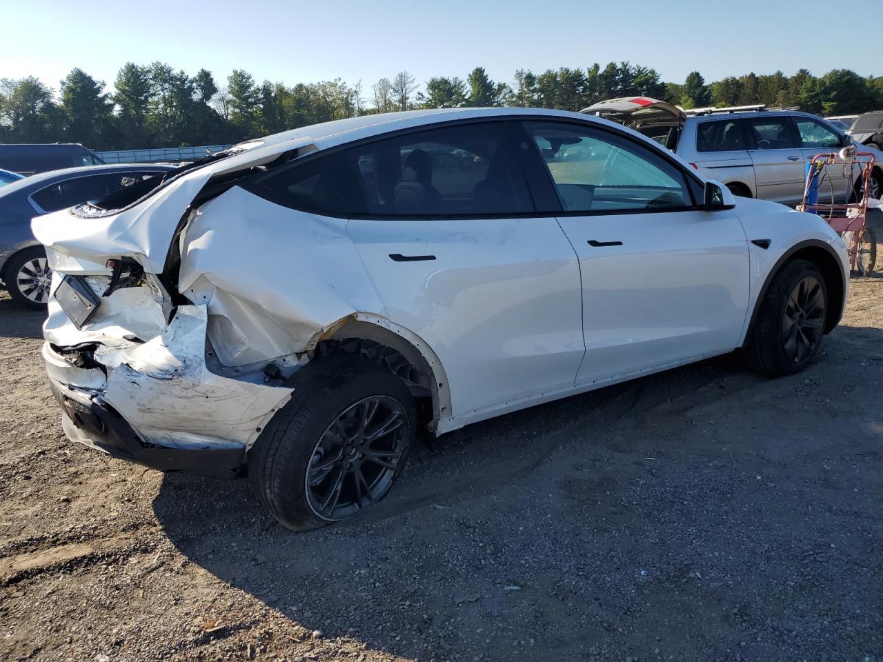 2025 TESLA MODEL Y