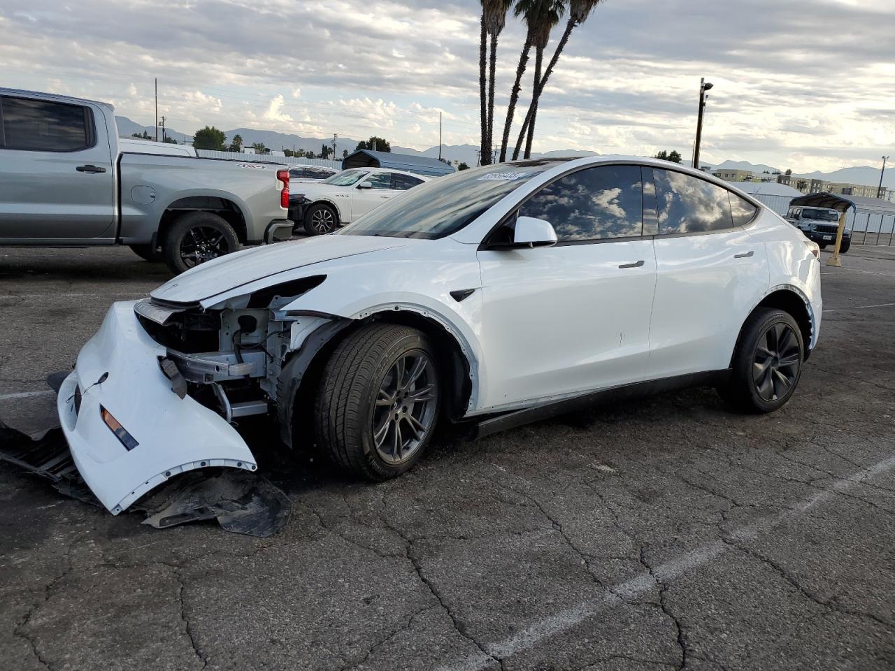 2025 TESLA MODEL Y