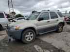 2006 FORD ESCAPE