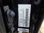 2023 TOYOTA Sequoia