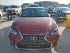 2023 LEXUS Es