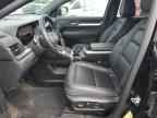 2025 GMC Terrain