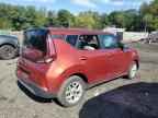 2023 KIA SOUL