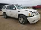 2010 CADILLAC ESCALADE