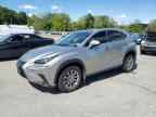 2021 LEXUS Nx