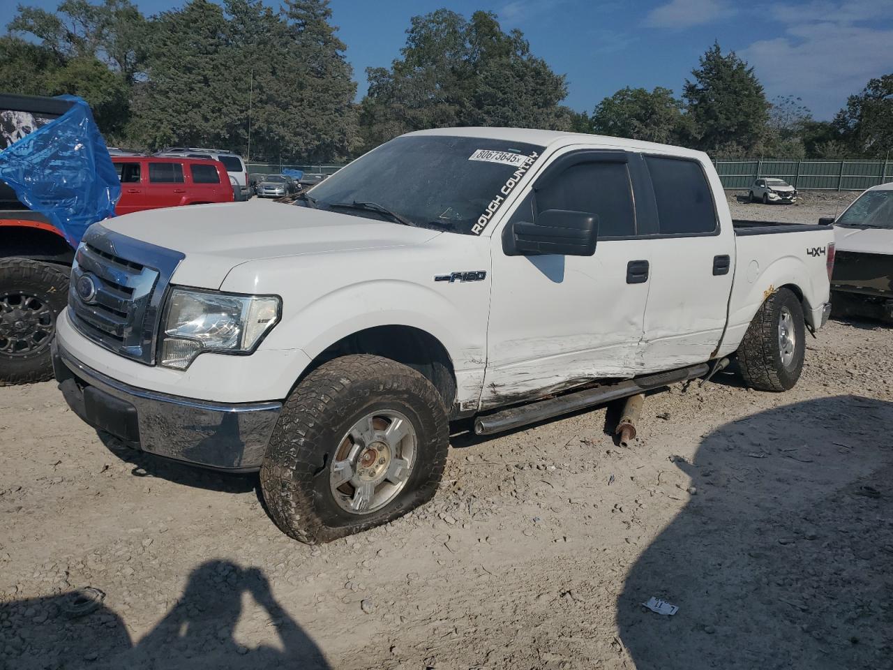 2010 FORD F-150 Lightning