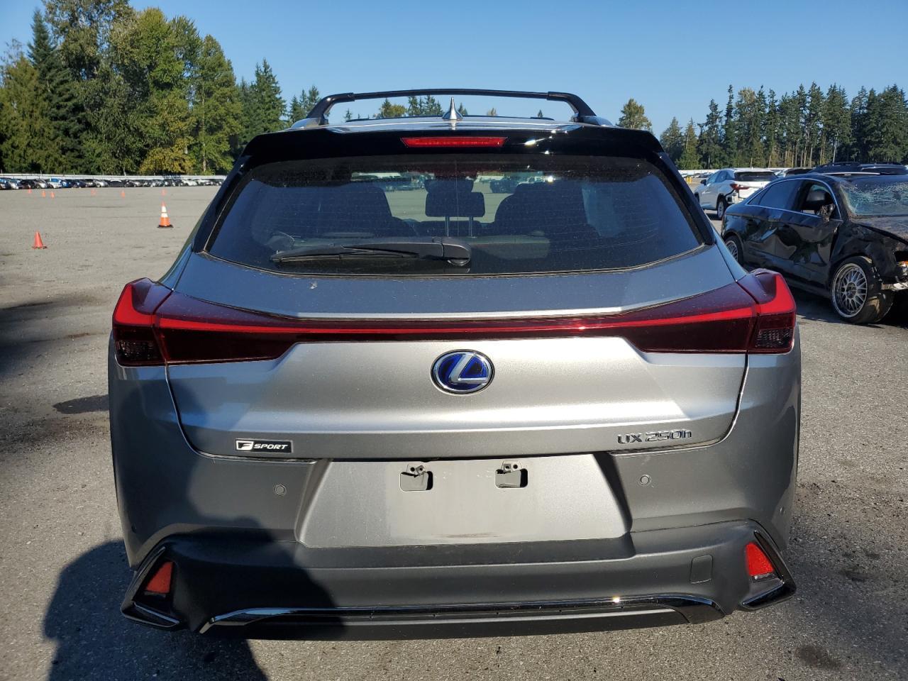 2021 LEXUS Ux